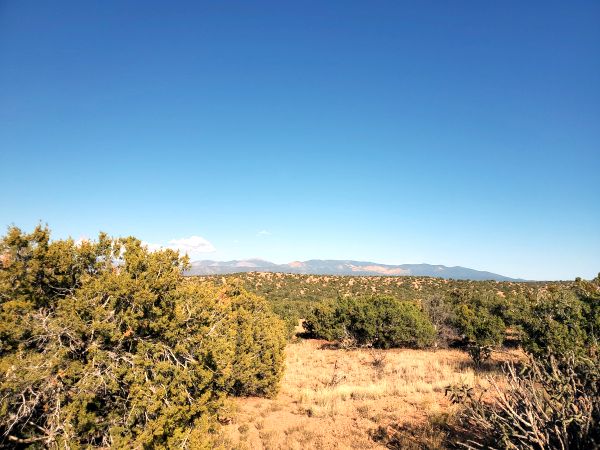 ebike new mexico